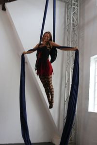 Aerial Silk